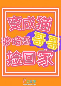 嘿，你的专属毛茸茸来啦